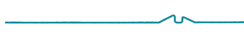 Elnico Logo